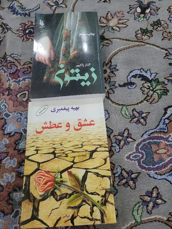 رمان|کتاب و مجله ادبی|تهران, مینای شمالی (مخبر)|دیوار