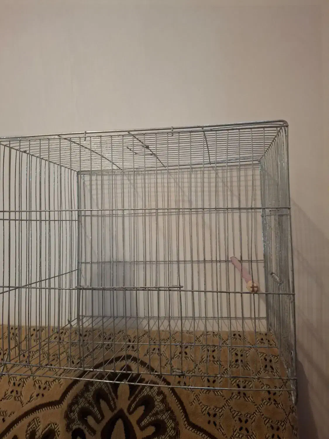 قفس پرنده|لوازم جانبی حیوانات|میانه, |دیوار