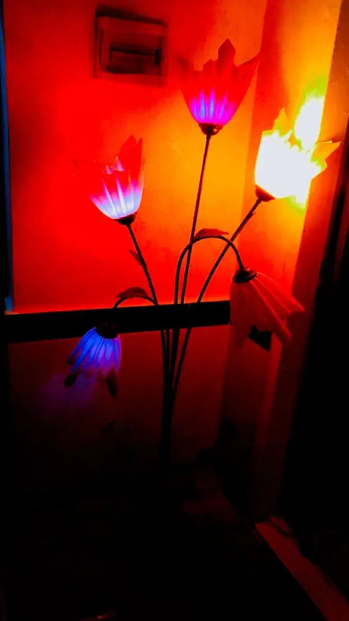 آباژور|چراغ خواب و آباژور|میاندوآب, |دیوار