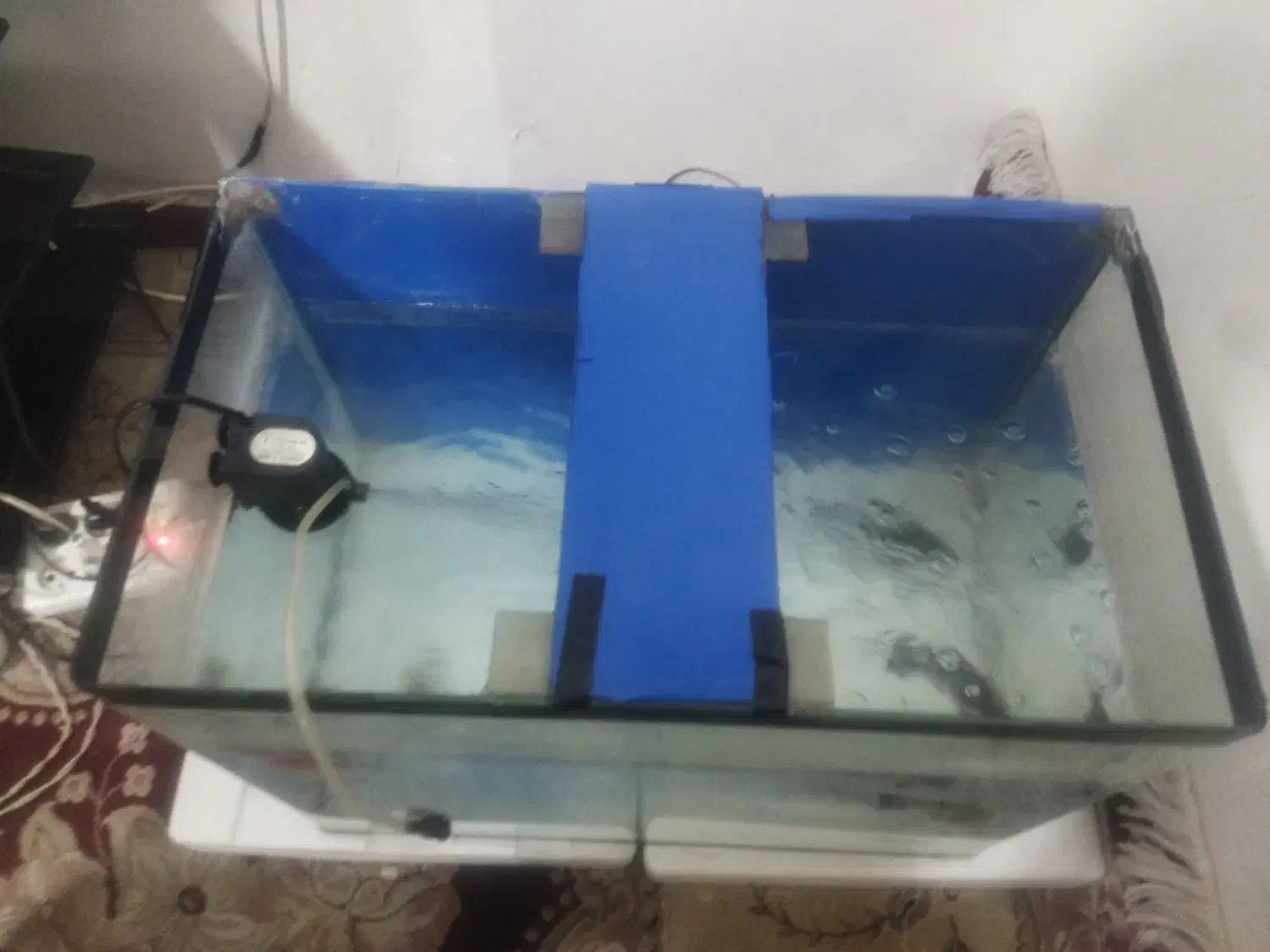 سلام دوستان عزیز|ماهی|باقرشهر, |دیوار