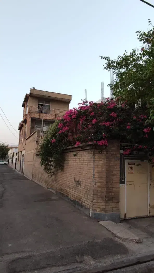 خانه کلنگی ۲۵۰ متر|فروش زمین و ملک کلنگی|شیراز, صاحب الزمان|دیوار