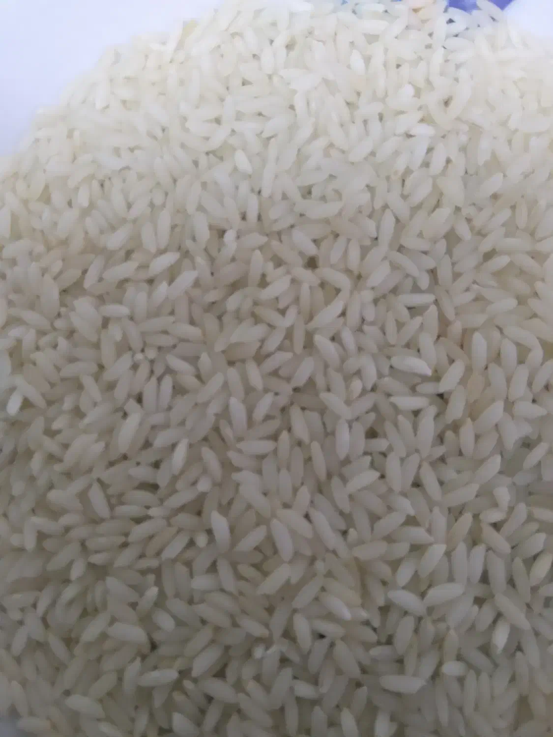 برنج عنبر بو|خوردنی و آشامیدنی|قم, عشقعلی|دیوار