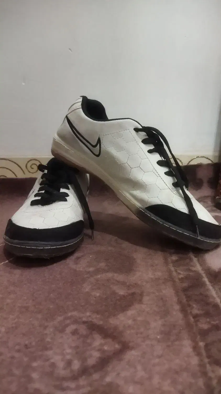 کفش سالنی و چمن|کیف، کفش، کمربند|اشتهارد, |دیوار