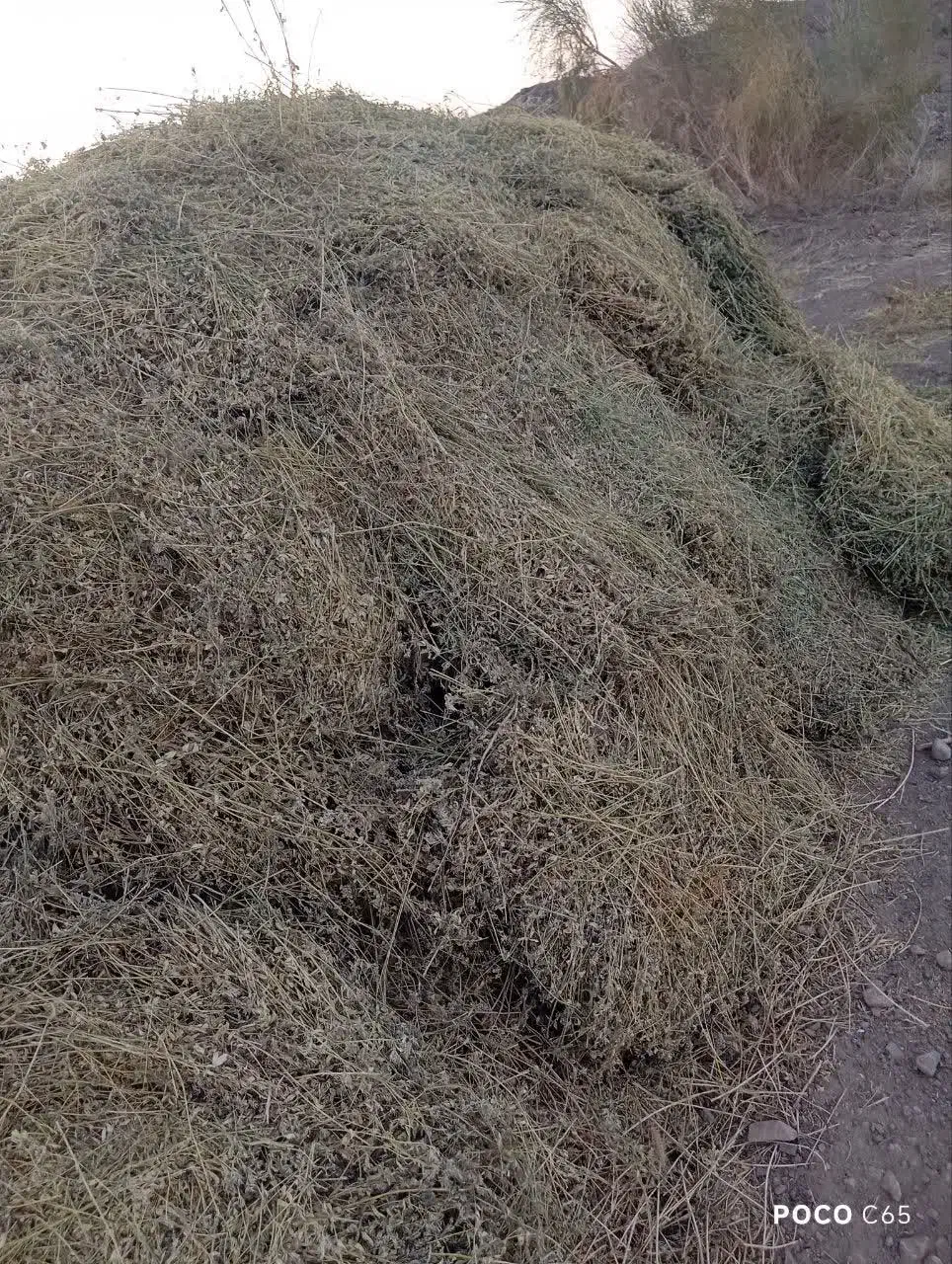 یونجه خشک|خدمات باغبانی و درختکاری|سرداران, |دیوار