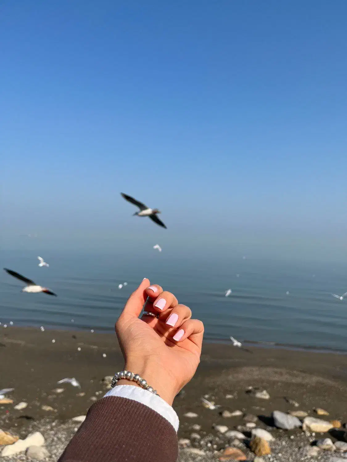 آموزش کامل لاین ژلِ سالنی فقط دو میلیون تومان|خدمات آموزشی|اراک, |دیوار