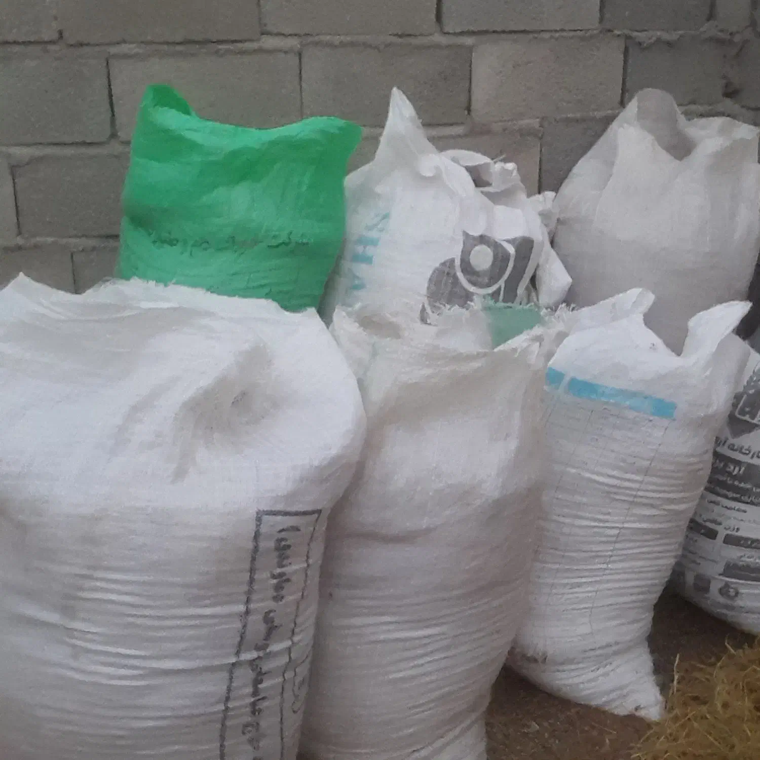 کودمرغی مخلوط خاک اره سیاه|گل و گیاه طبیعی|بندر ترکمن, |دیوار