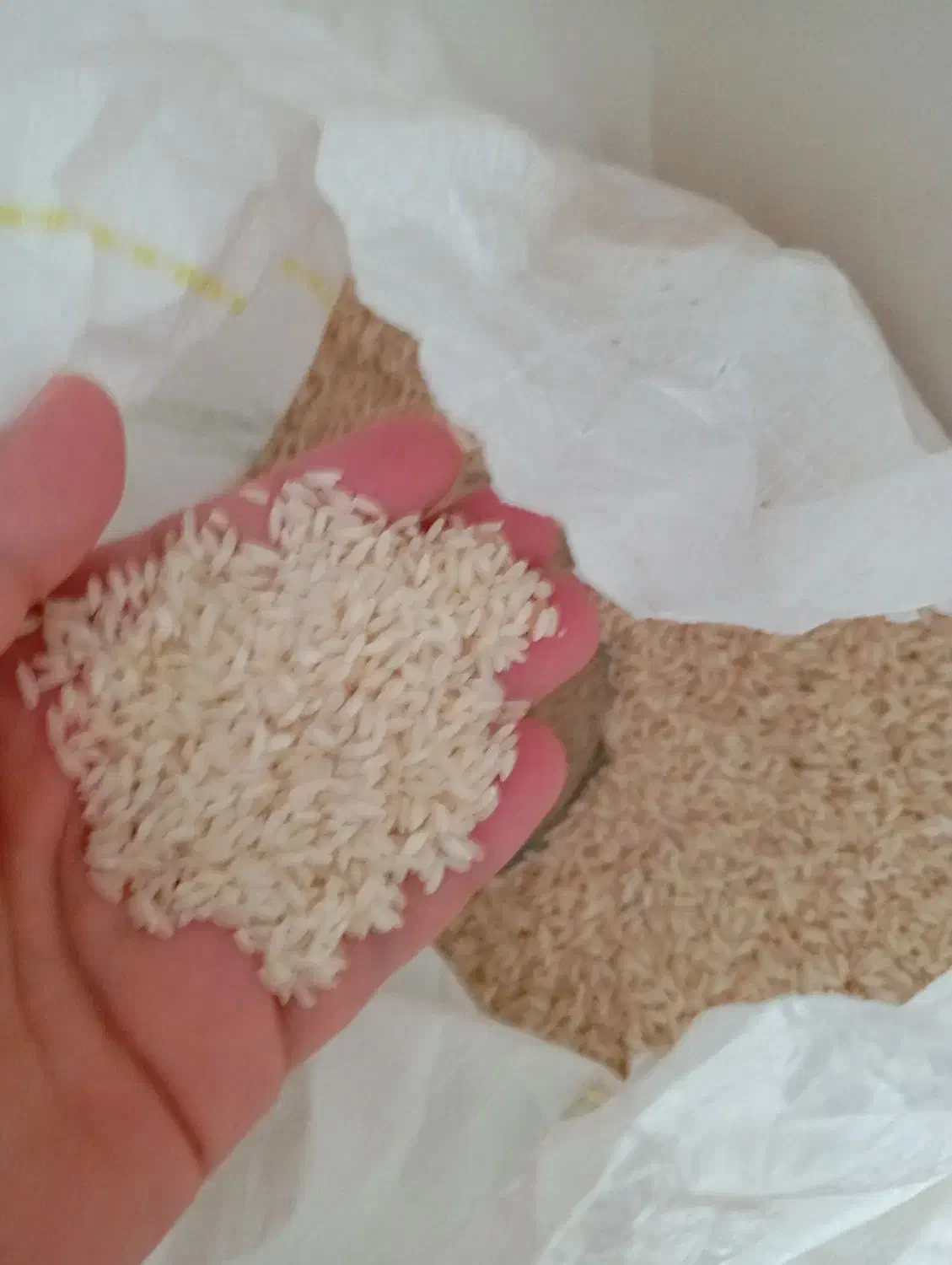 برنج عنبر بو|خوردنی و آشامیدنی|قم, جاده معدن|دیوار