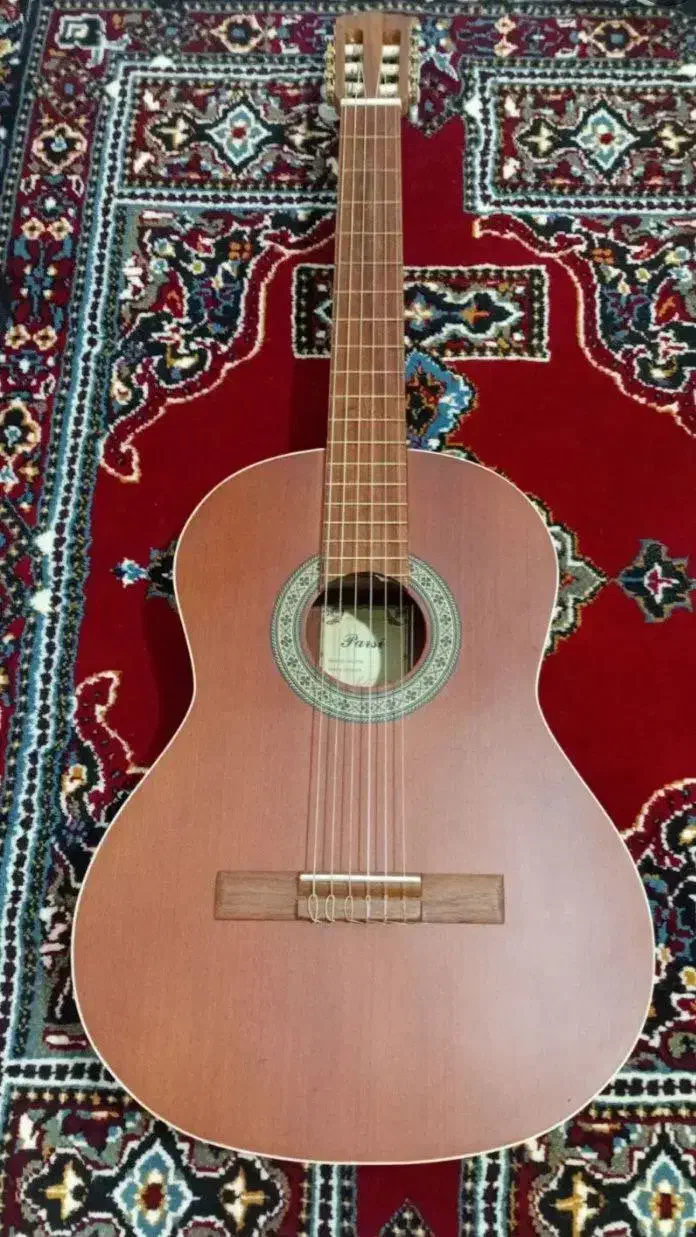 گیتار کلاسیک پارسی مدلp40|گیتار، بیس، امپلیفایر|تهران, دکتر هوشیار|دیوار