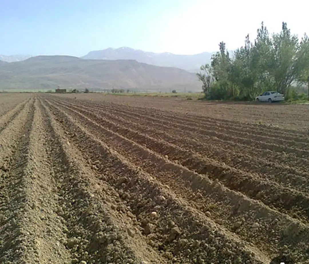 فروش فوری زمین کشاورزی با چاه اب|فروش زمین و ملک کلنگی|فارسان, |دیوار