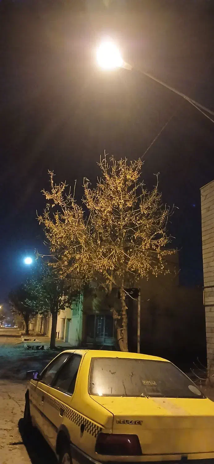 فروش پژو داخل شهری زرد|خودرو سواری و وانت|میامی, |دیوار