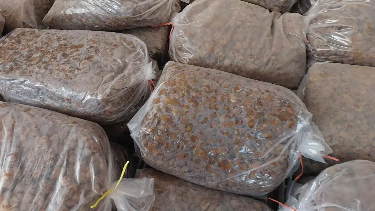 الو خوانسار|عمده‌فروشی|خوانسار, |دیوار