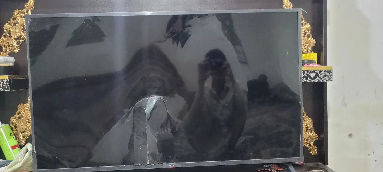 تلویزیون|تلویزیون و پروژکتور|ایرانشهر, |دیوار