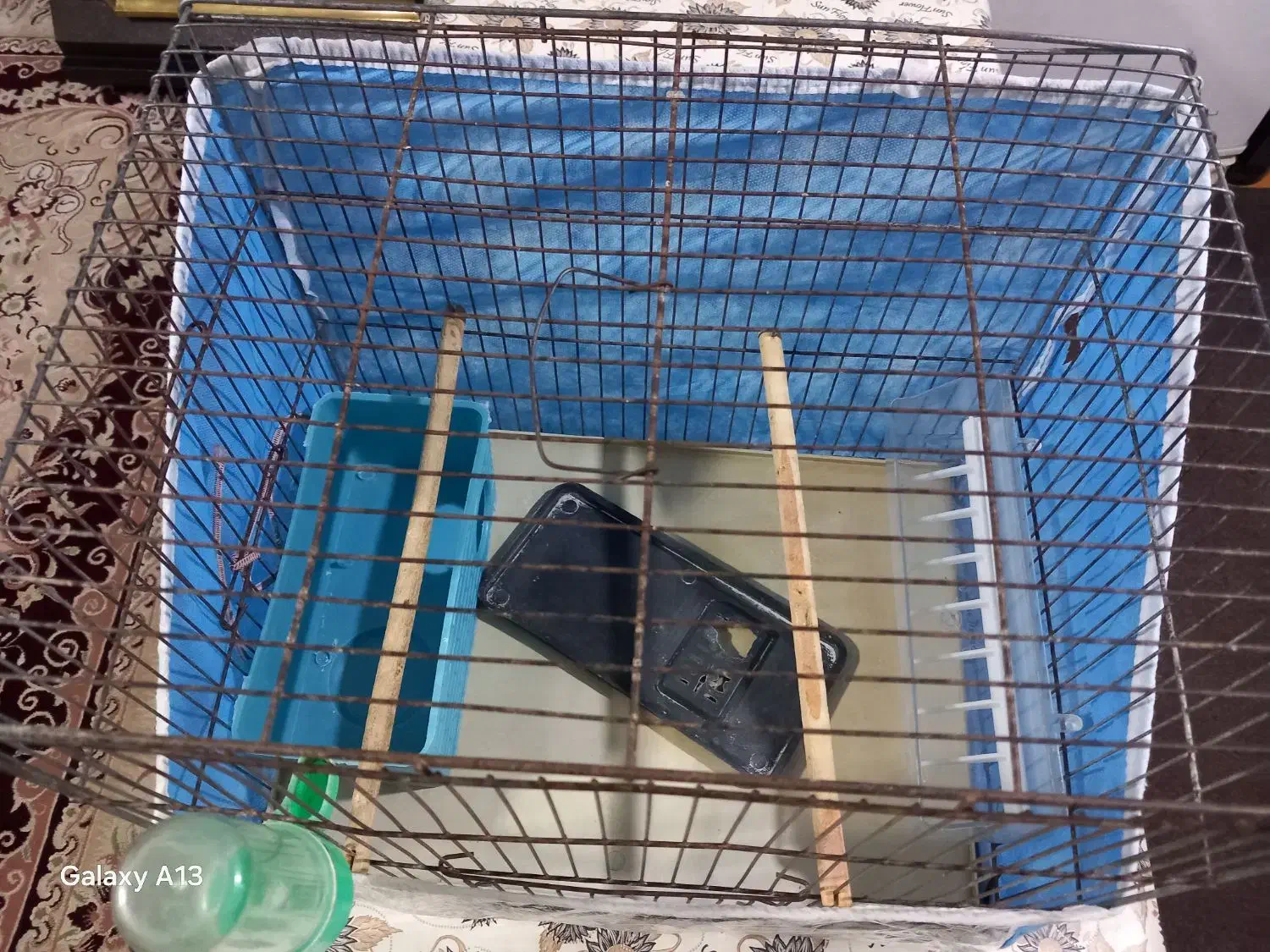 قفسه|لوازم جانبی حیوانات|شیراز, دارالرحمه|دیوار