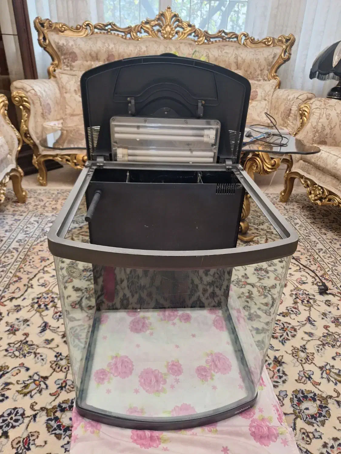 اکواریوم  شرکتی  ماهیران|ماهی|تهران, پونک|دیوار