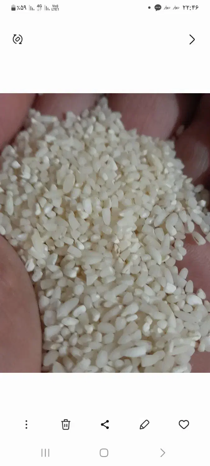 برنج وحبوبات|خوردنی و آشامیدنی|دهلران, |دیوار