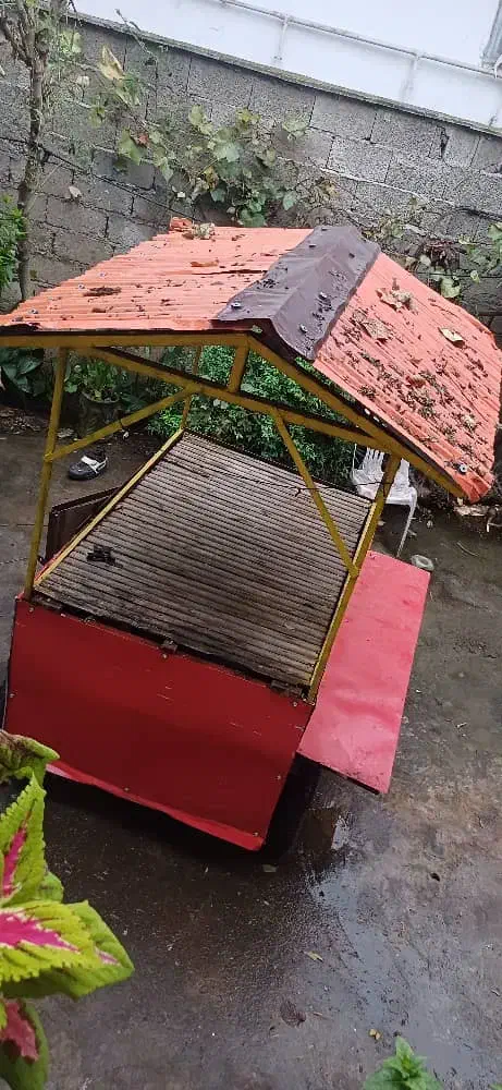 گاری|ابزارآلات|فومن, |دیوار