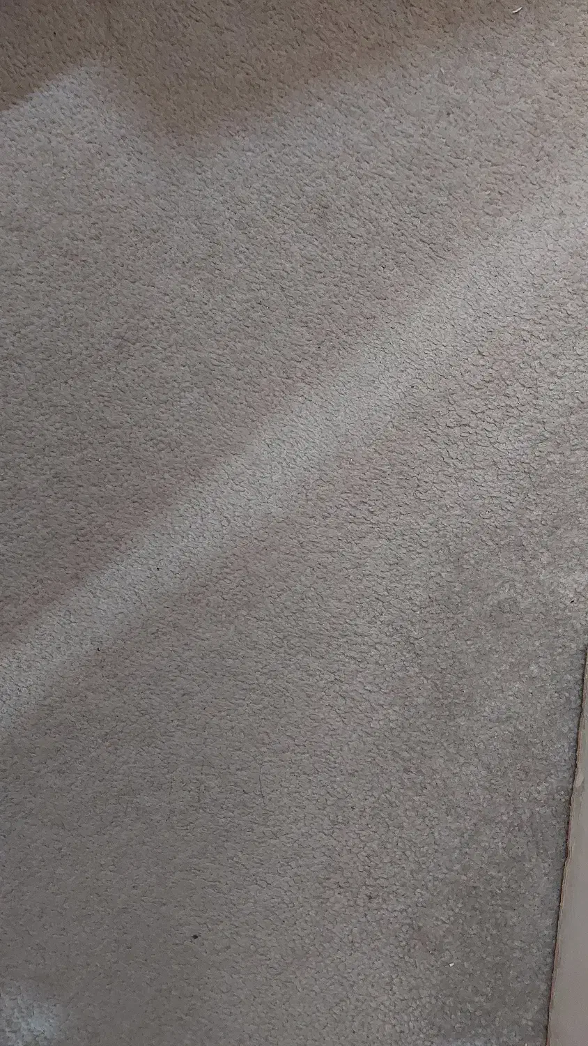 موکت|موکت|قدس, شهرقدس|دیوار