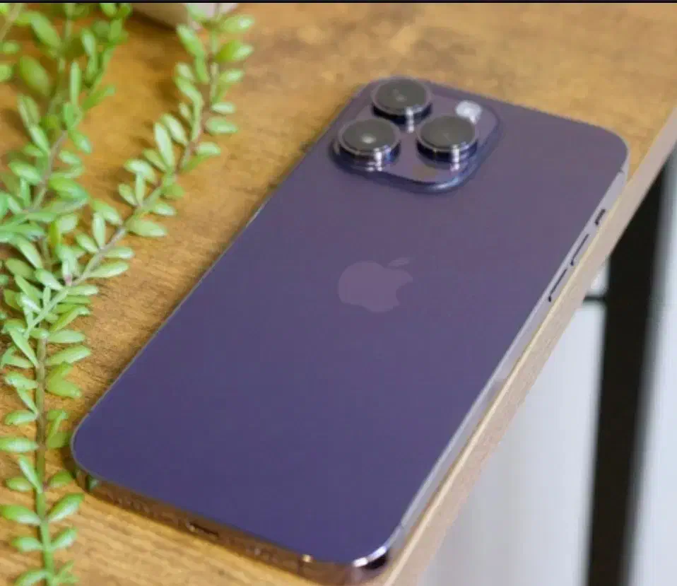 ایفون ۱۴ پرو مکس|موبایل|قزوین, |دیوار