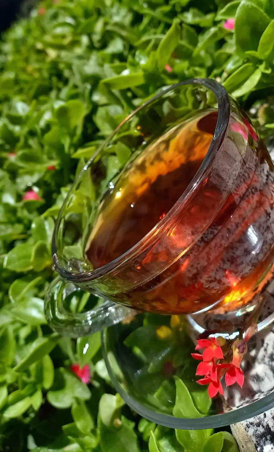 چای شمال|خوردنی و آشامیدنی|شیراز, پانصد دستگاه ارتش|دیوار