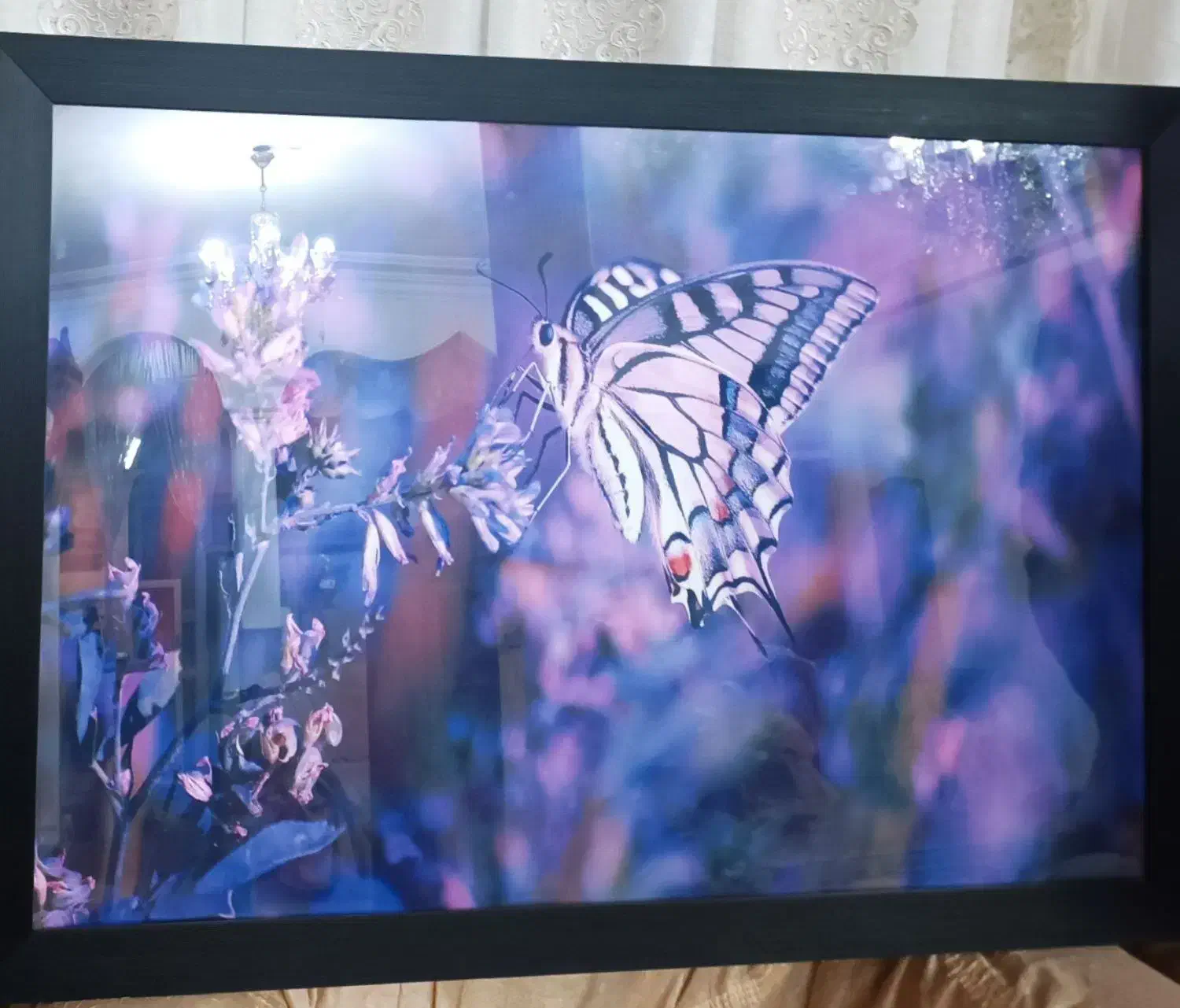 تابلو|تابلو، نقاشی، عکس|کرمانشاه, |دیوار