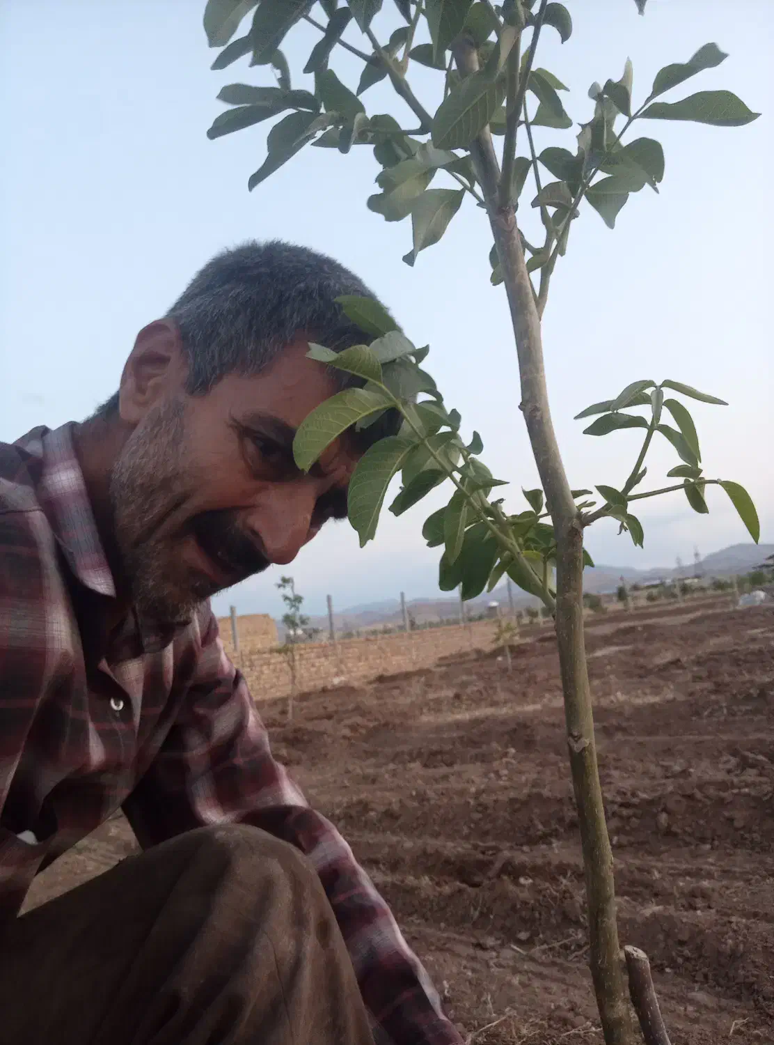 خدمات باغبانی ودرختکاری|خدمات باغبانی و درختکاری|قزوین, |دیوار