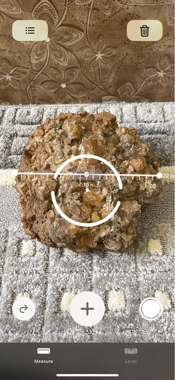 سنگ سلستین بژ قهوه ای|ماهی|دالاهو, |دیوار