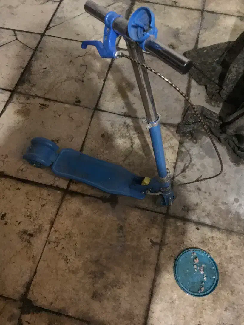 اسکوتر|دوچرخه، اسکیت، اسکوتر|تهران, پارک شهر|دیوار