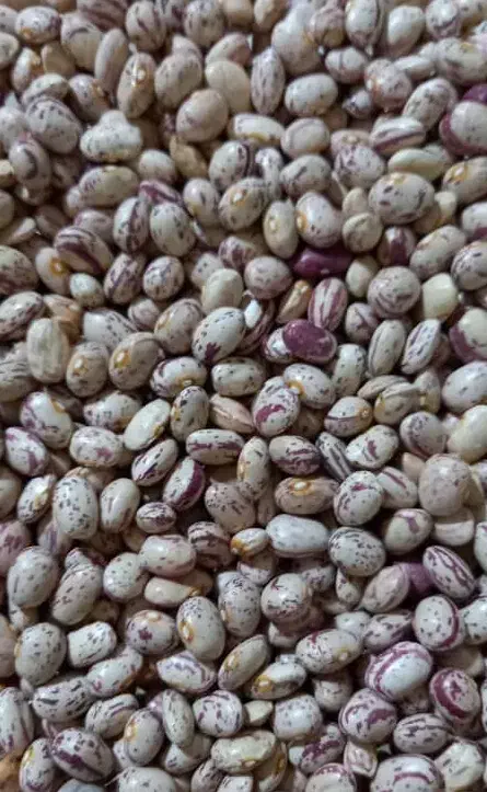 لوبیا|خوردنی و آشامیدنی|ری, علایین|دیوار