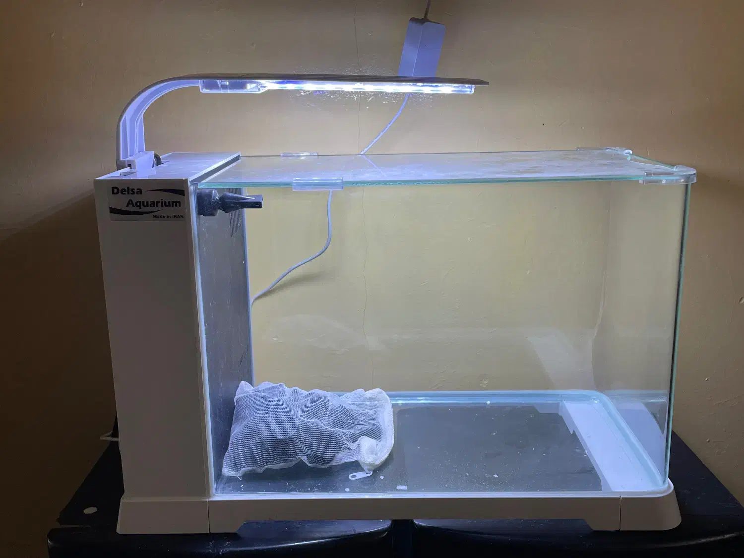 اکواریوم دلسا B103|ماهی|ساری, |دیوار