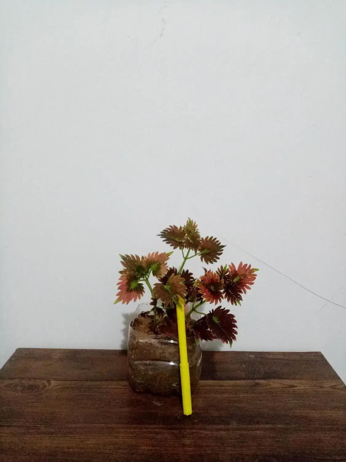 حراج|حراج|یاسوج, |دیوار