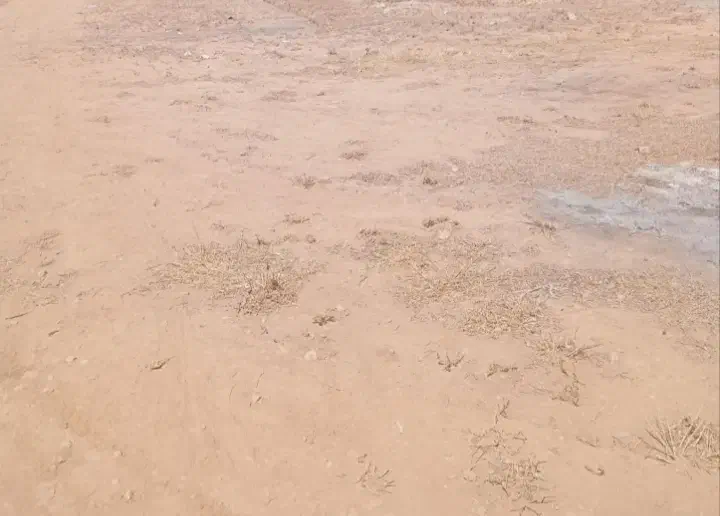 زمین مسکونی واقع درشهرستان سلطانیه روستای شکورآباد|فروش زمین و ملک کلنگی|باغ حلی, |دیوار