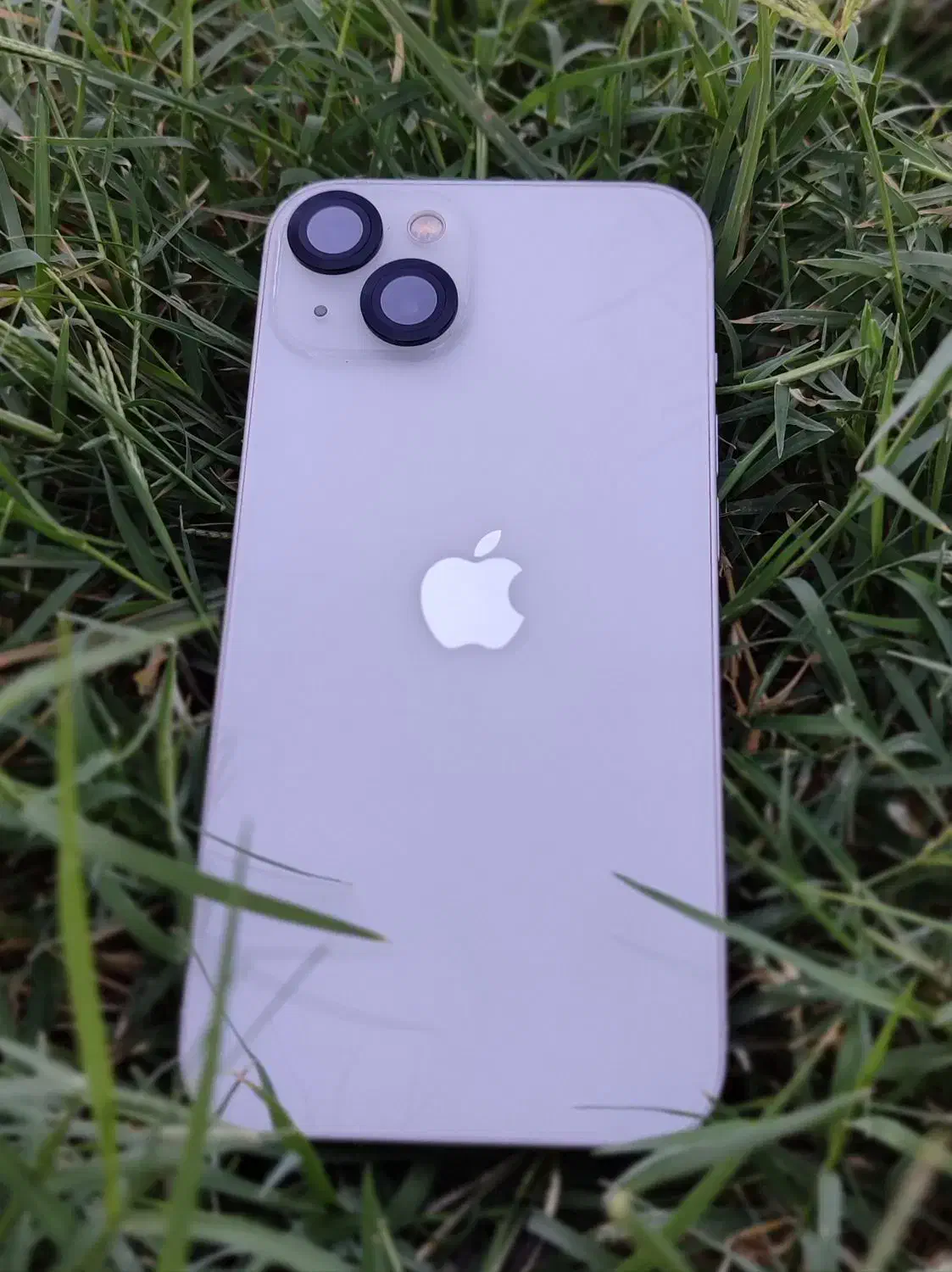 اپل iPhone 13|موبایل|زابل, |دیوار