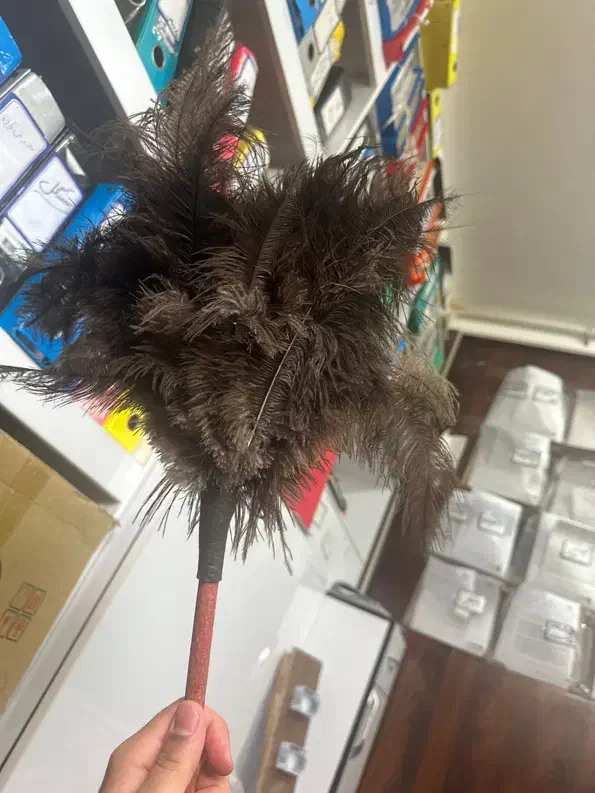 گردگیر دفتری|لوازم نظافت|گنبد کاووس, |دیوار