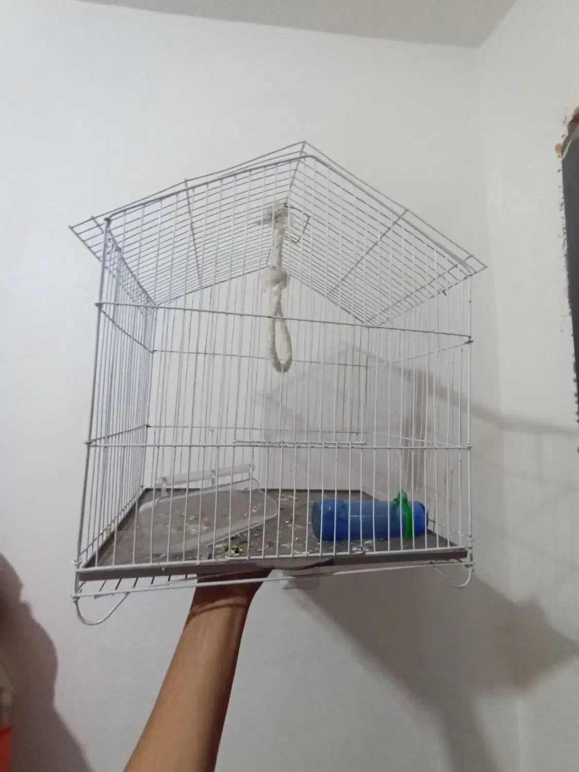 قفس پرنده|لوازم جانبی حیوانات|بندرعباس, |دیوار
