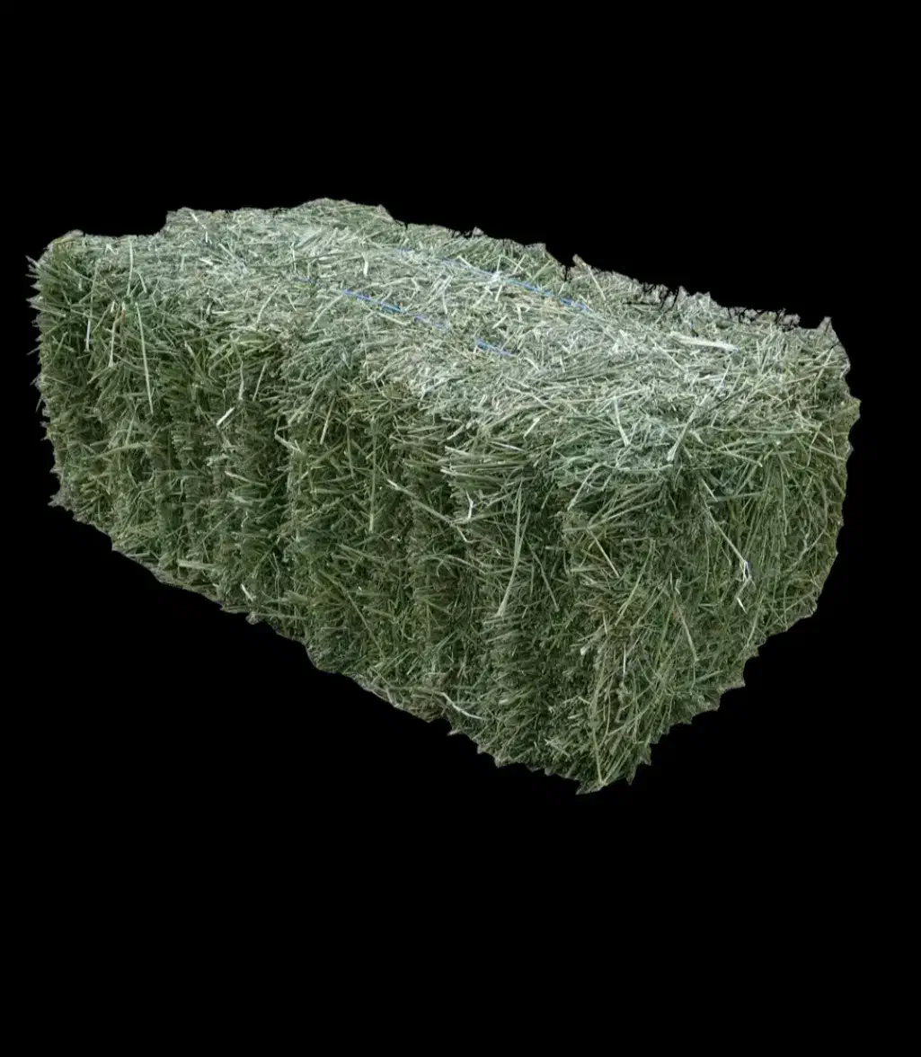 فروش ۲۵ تن یونجه درجه یک چین دوم داخل انبار سقز|حیوانات مزرعه|سقز, |دیوار