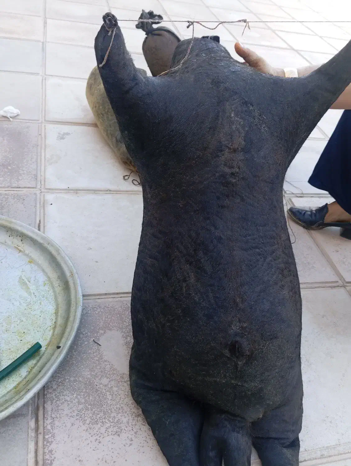 هیزه|ظروف نگهدارنده، پلاستیکی، یک‌بارمصرف|کوهدشت, |دیوار