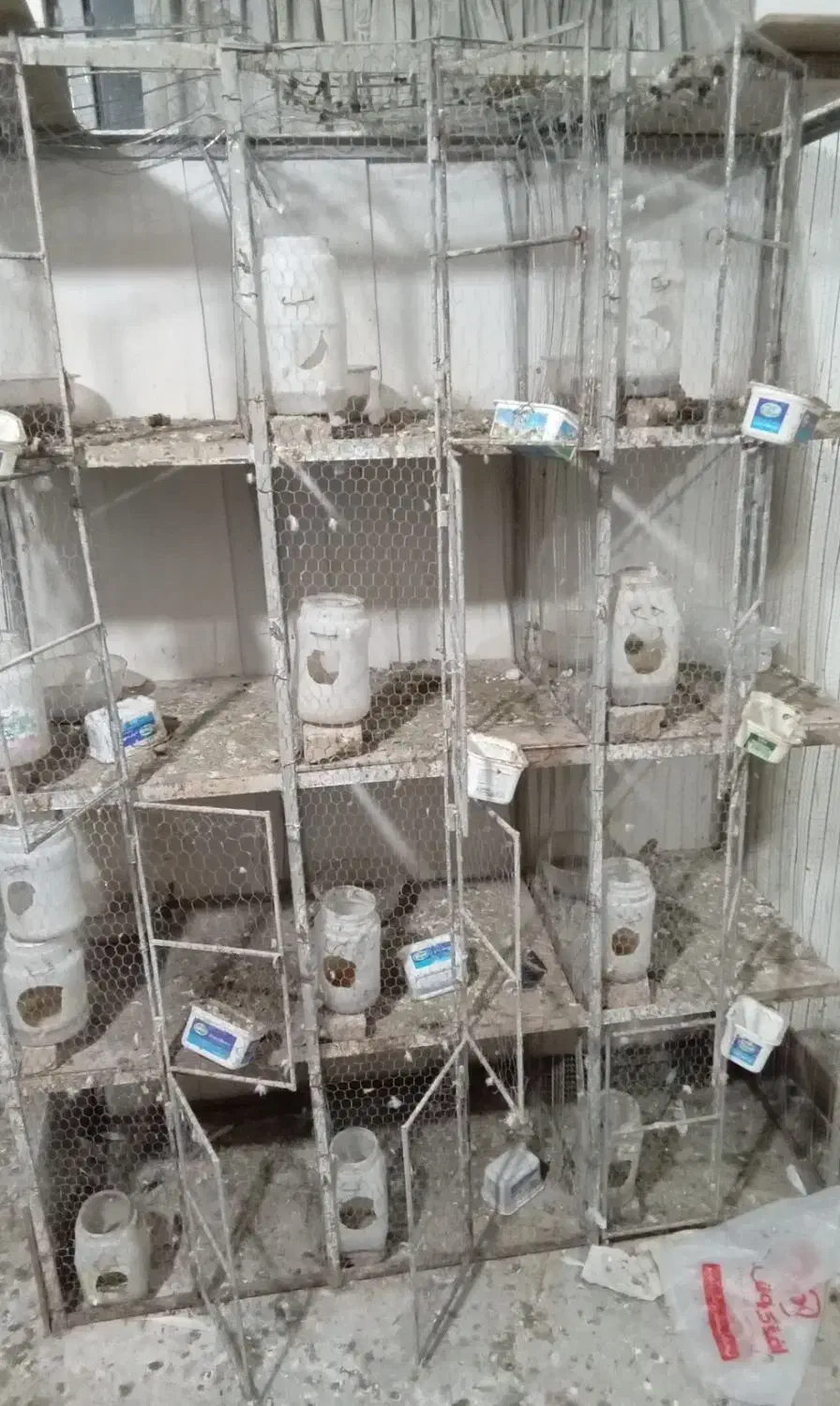 قفس کبوتر|لوازم جانبی حیوانات|بهشهر, |دیوار