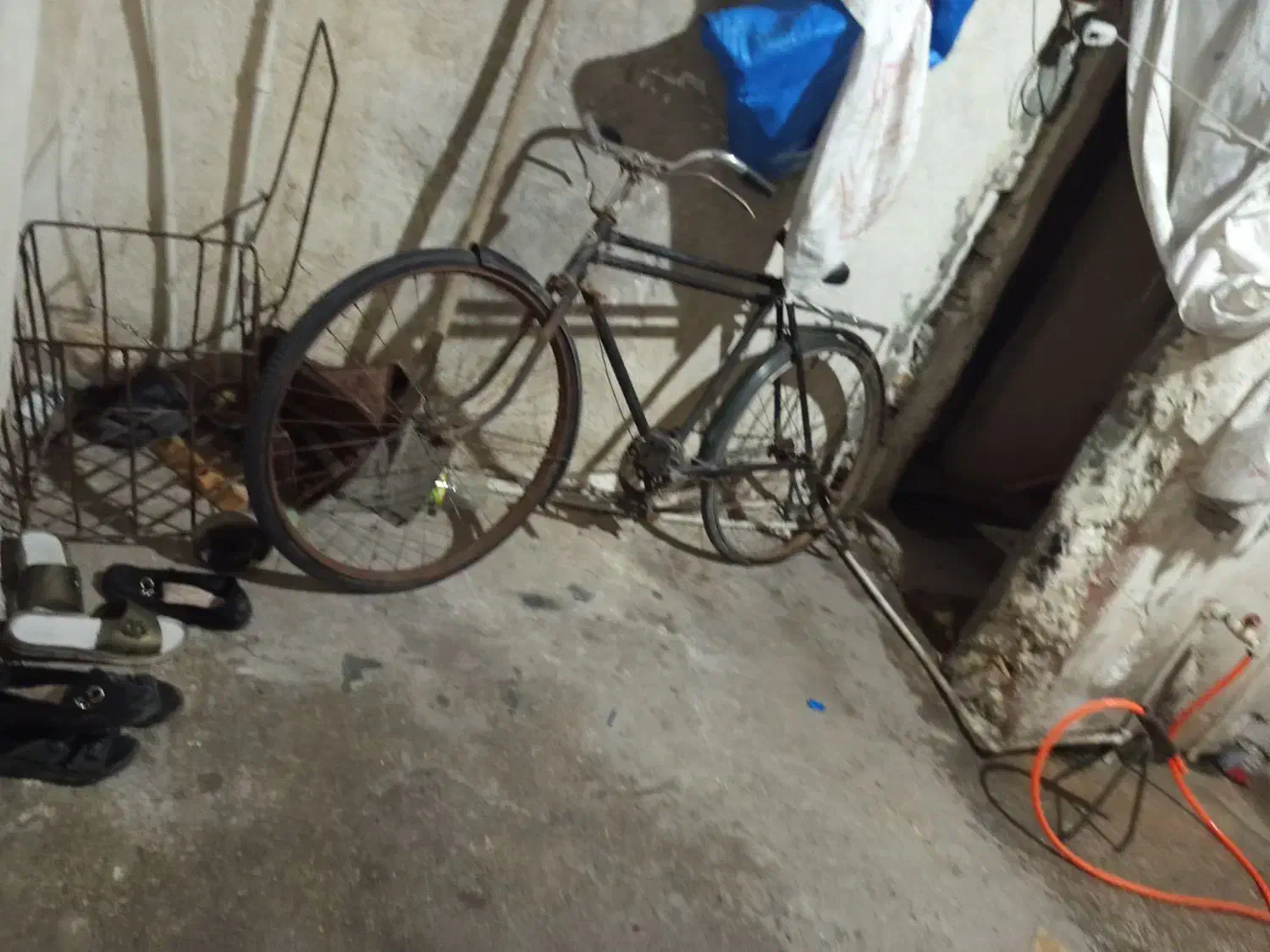 دوچرخه  فنیکس|دوچرخه، اسکیت، اسکوتر|اهواز, منبع اب|دیوار