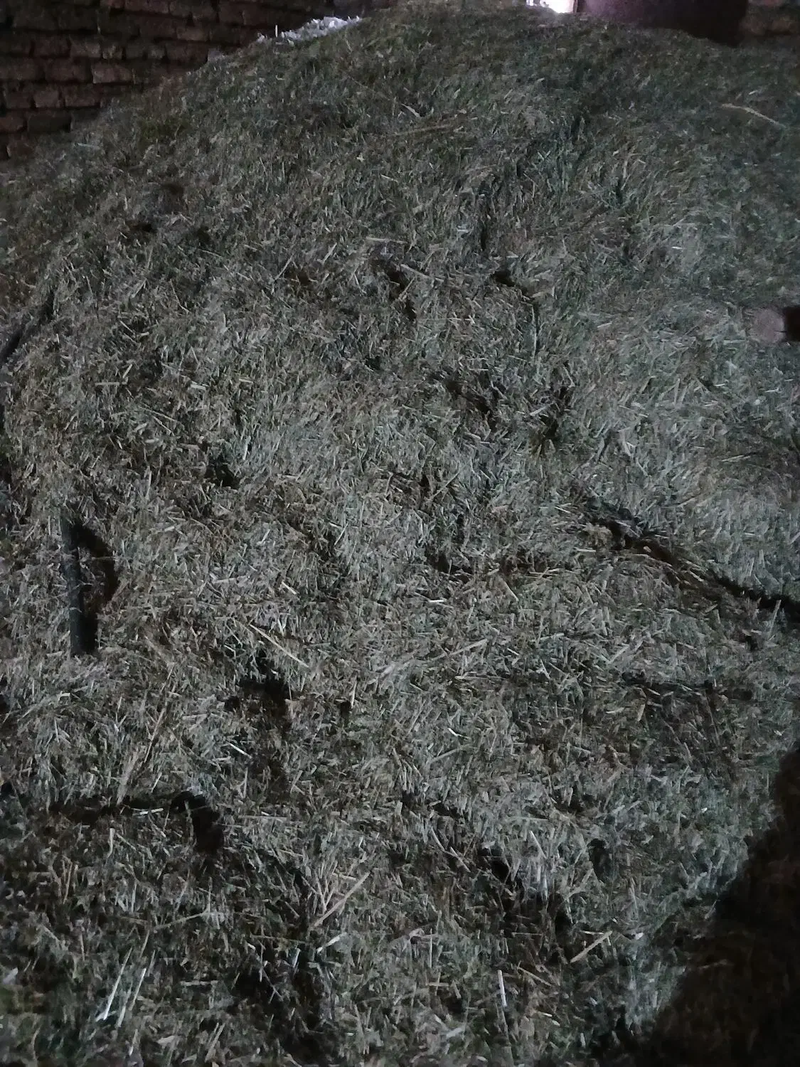 شبدر|حیوانات مزرعه|چهاردولی, |دیوار