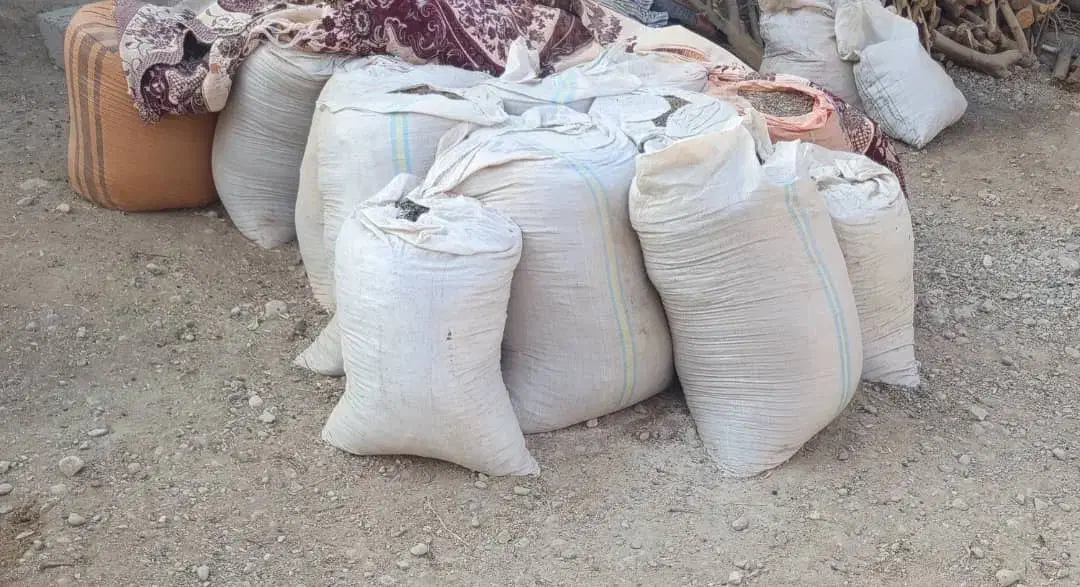 کود گوسفندی|خدمات باغبانی و درختکاری|بندرعباس, |دیوار