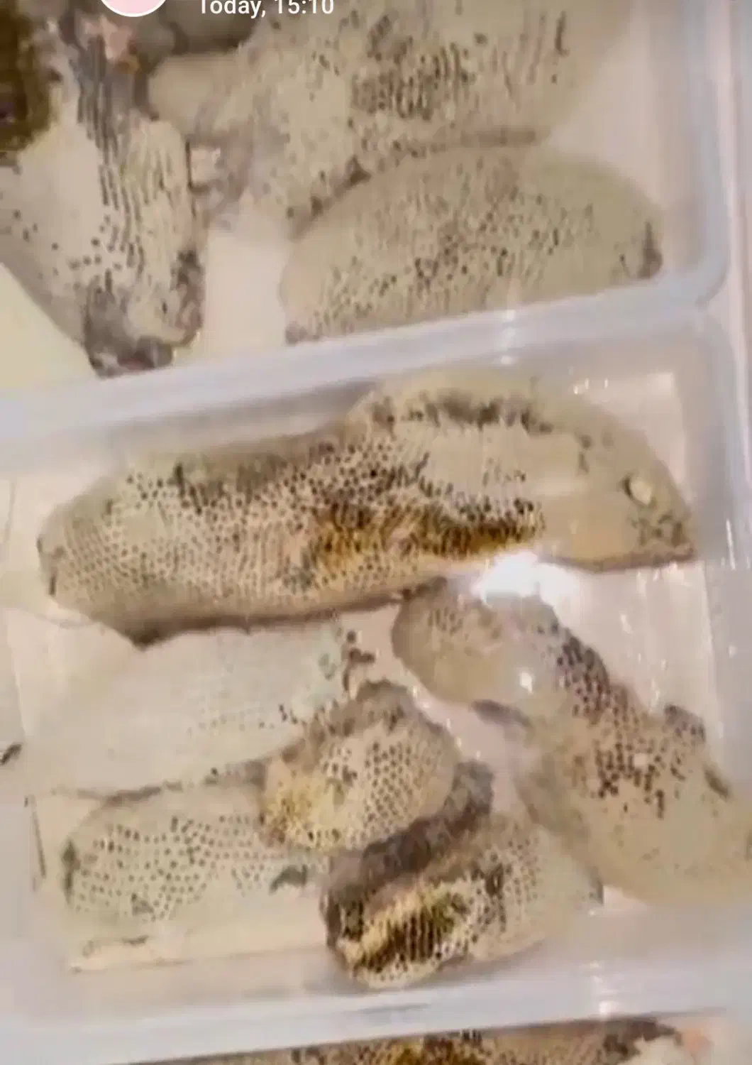 عسل طبیعی وحشی|خوردنی و آشامیدنی|تهران, دولاب|دیوار