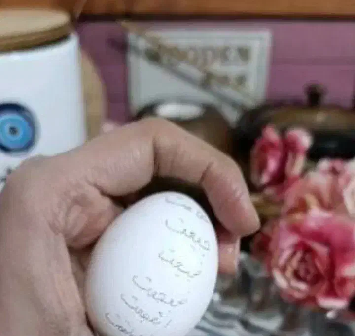 طالع|خدمات پذیرایی، مراسم|زابل, |دیوار