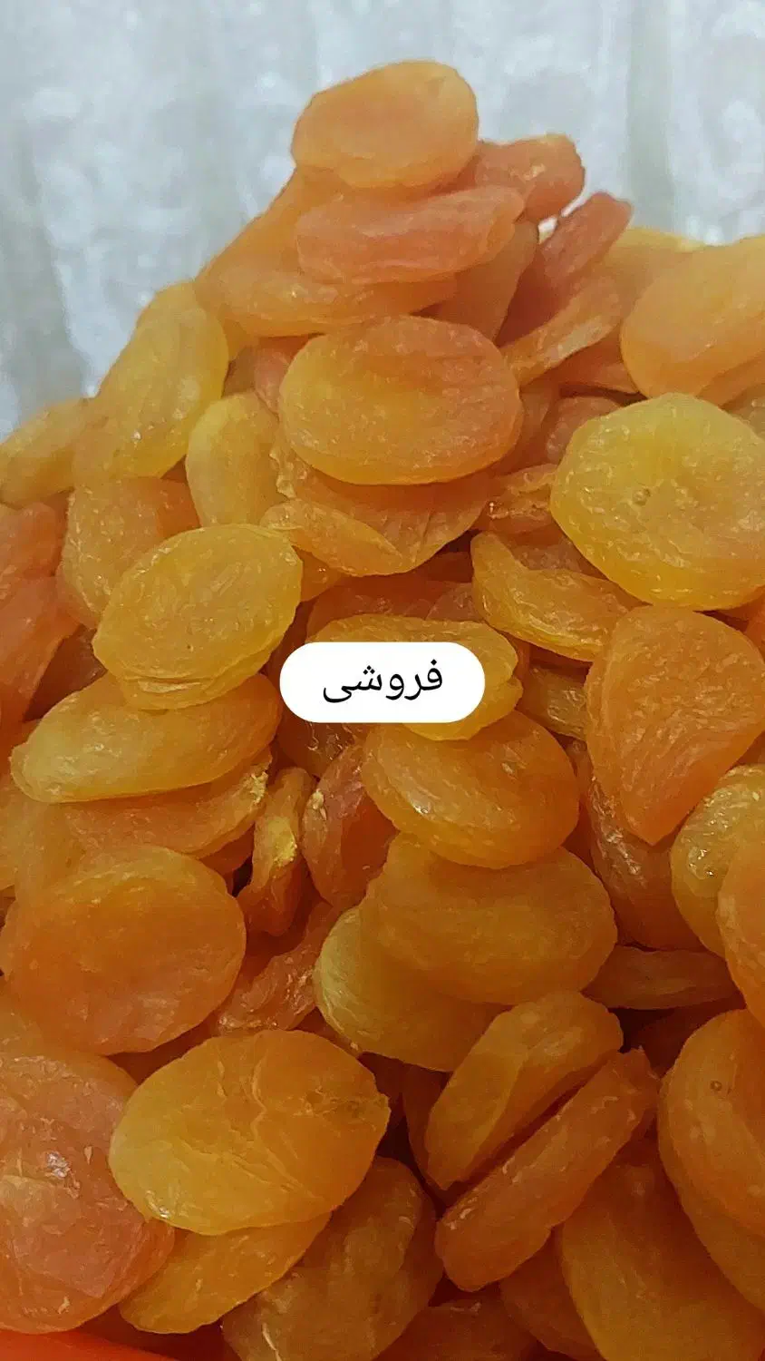 قیسی|خوردنی و آشامیدنی|ایلخچی, |دیوار