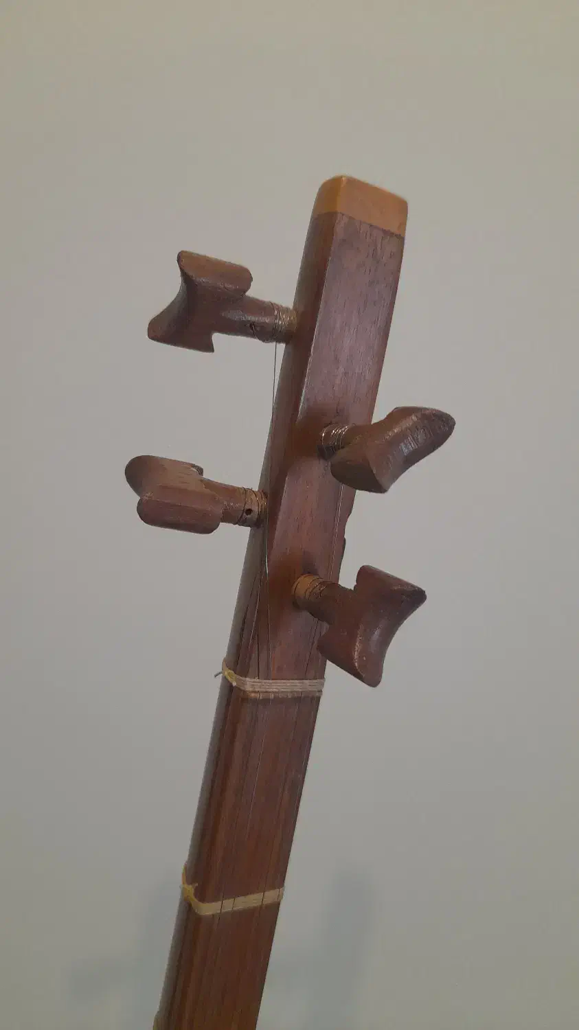 سه تار زیرعبایی|سازهای سنتی|تهران, فلسطین (میدان انقلاب)|دیوار