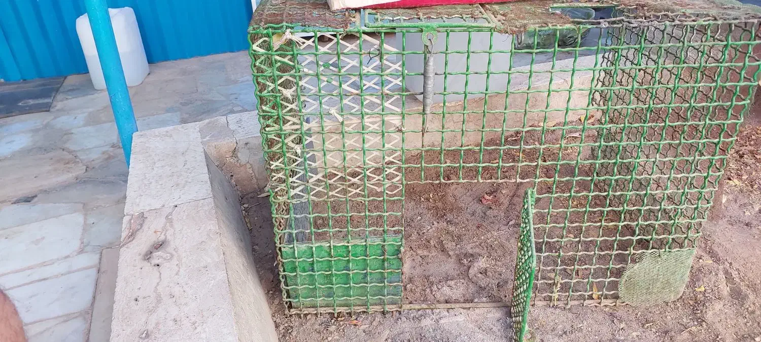 قفس(جفت گاه)|لوازم جانبی حیوانات|بیرجند, |دیوار