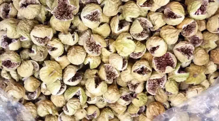 فروشوخرید..انجیر|خوردنی و آشامیدنی|شیراز, حافظیه|دیوار