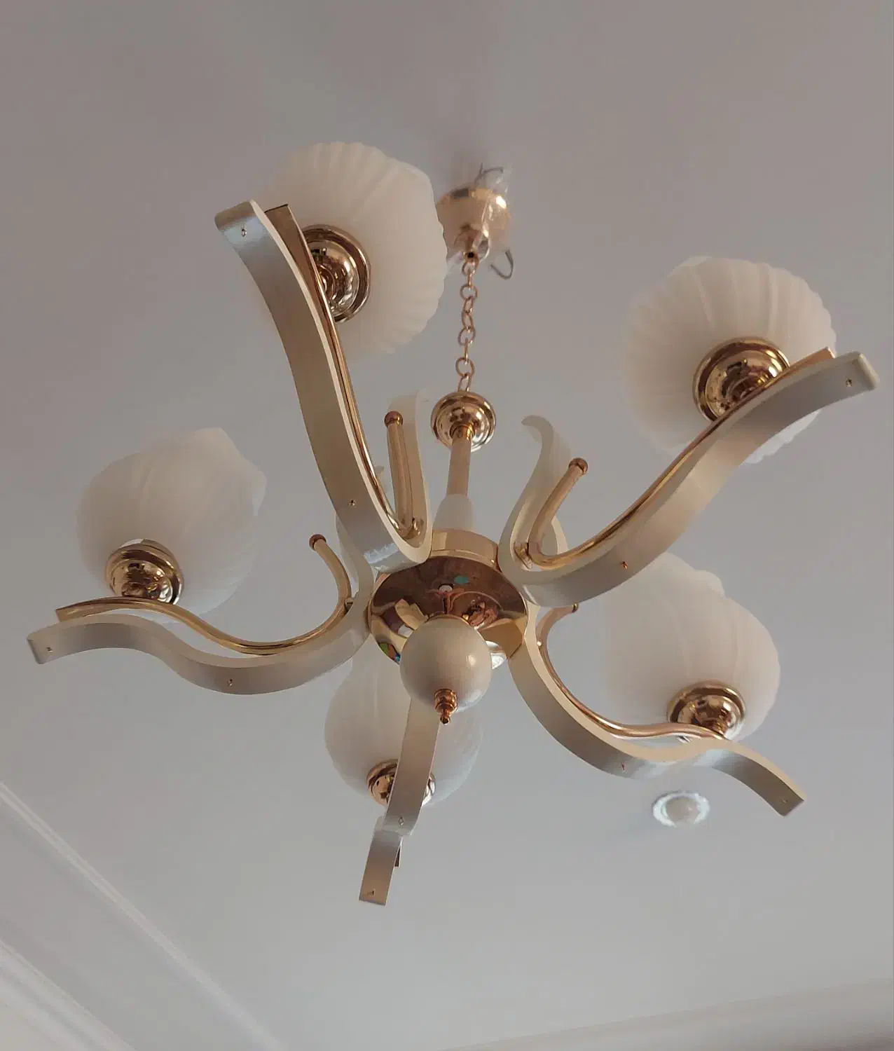 لوستر ۵ شعله ابکاری. گلد. کروم|لوستر و چراغ آویز|یزد, |دیوار