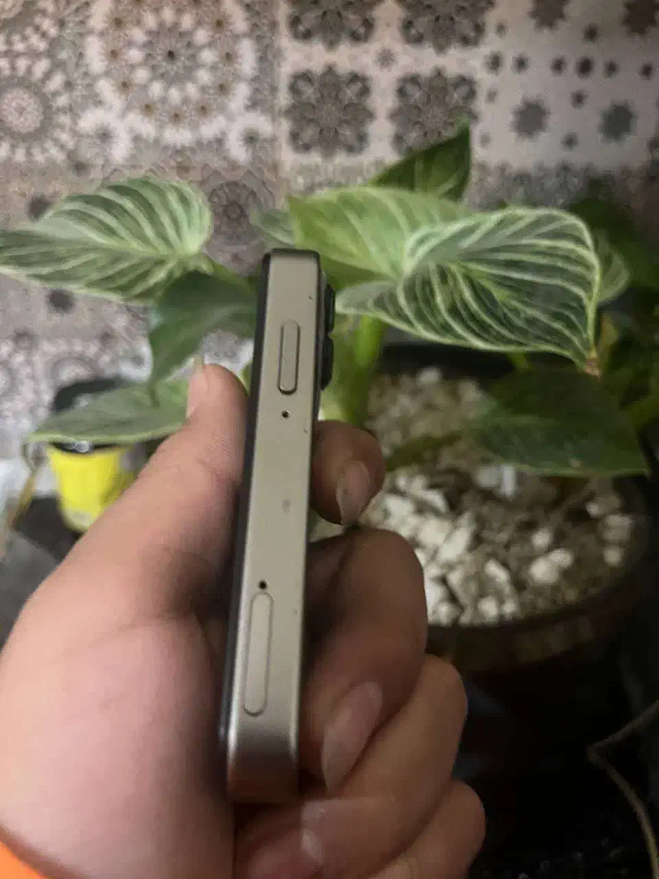 ایفون مینی 16pro max|موبایل|مشهد, ولیعصر (شهرک غرب)|دیوار