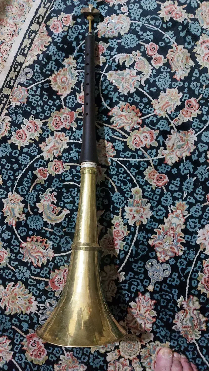 دوعدد کرنا|سازهای بادی|شیراز, بهارستان|دیوار