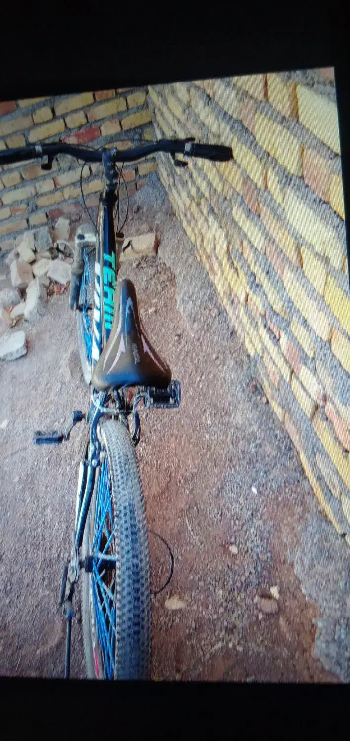 دوچرخه ویوا 24|دوچرخه، اسکیت، اسکوتر|قیدار, |دیوار